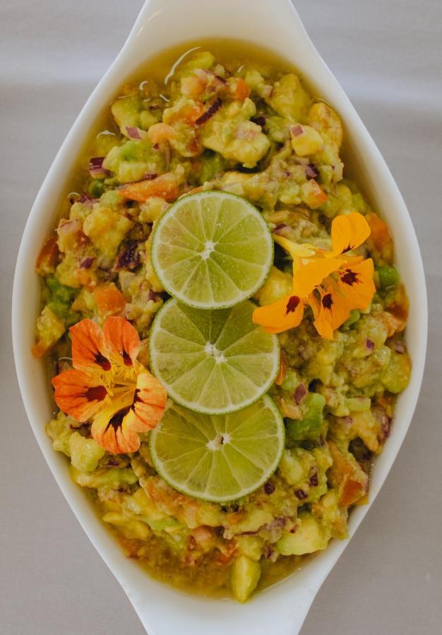 Hotel Vegano Bona Espero Alto Paraíso de Goiás